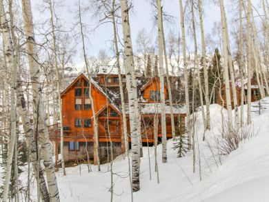 Telluride Home 937534