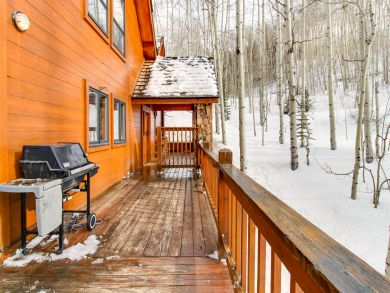 Telluride Home 937534