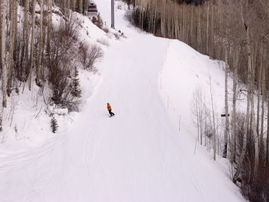 Telluride Home 937534