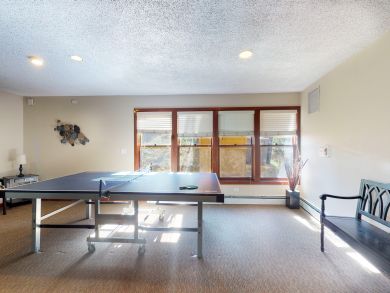 Breckenridge Condo 937535