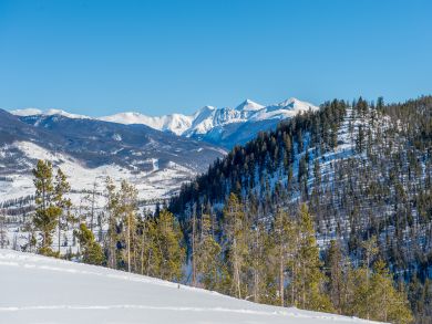 Breckenridge Condo 937535