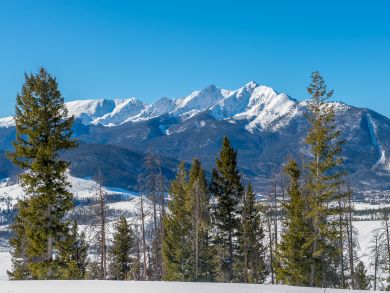 Breckenridge Condo 937535