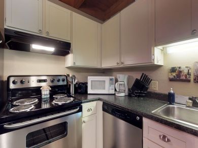Breckenridge Condo 937536