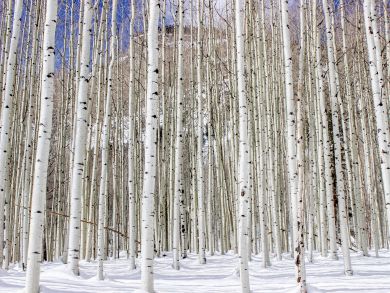 Breckenridge Home 937542