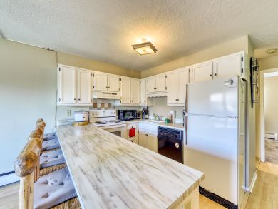 Breckenridge Condo 937545