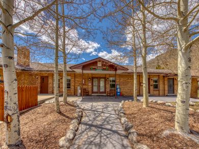 Breckenridge Condo 937545