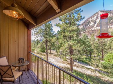 Breckenridge Condo 937546