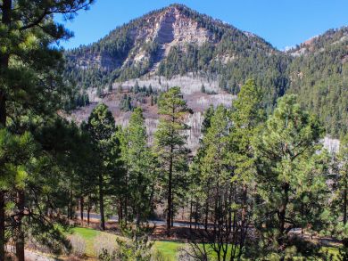 Breckenridge Condo 937546