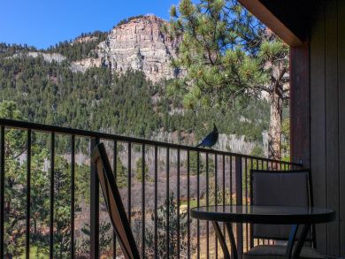 Breckenridge Condo 937546