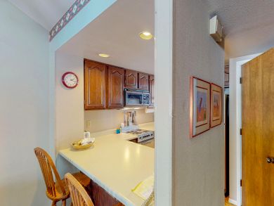 Breckenridge Condo 937549