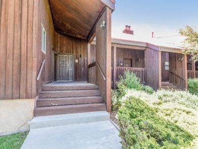 Breckenridge Condo 937549