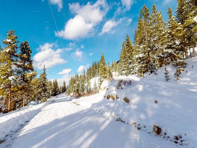 Breckenridge Condo 937557