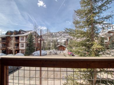 Steamboat Springs Condo 937559