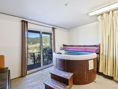 Breckenridge Condo 937564