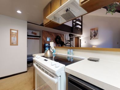 Breckenridge Condo 937567