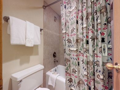 Breckenridge Condo 937570