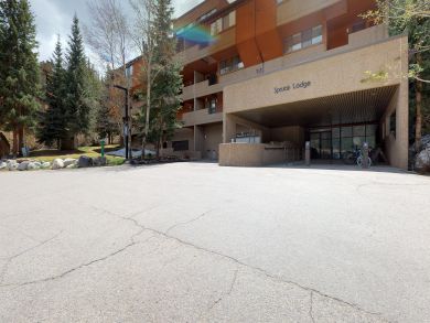 Breckenridge Condo 937570