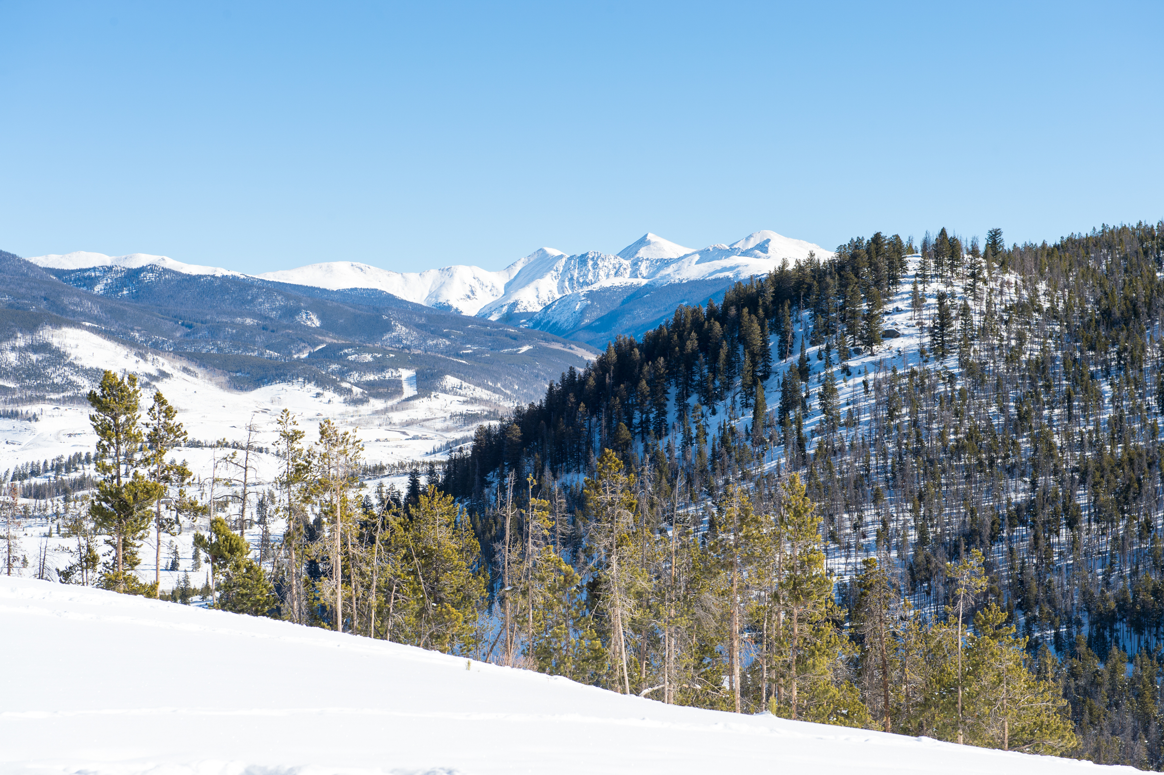 Breckenridge Condo 937579
