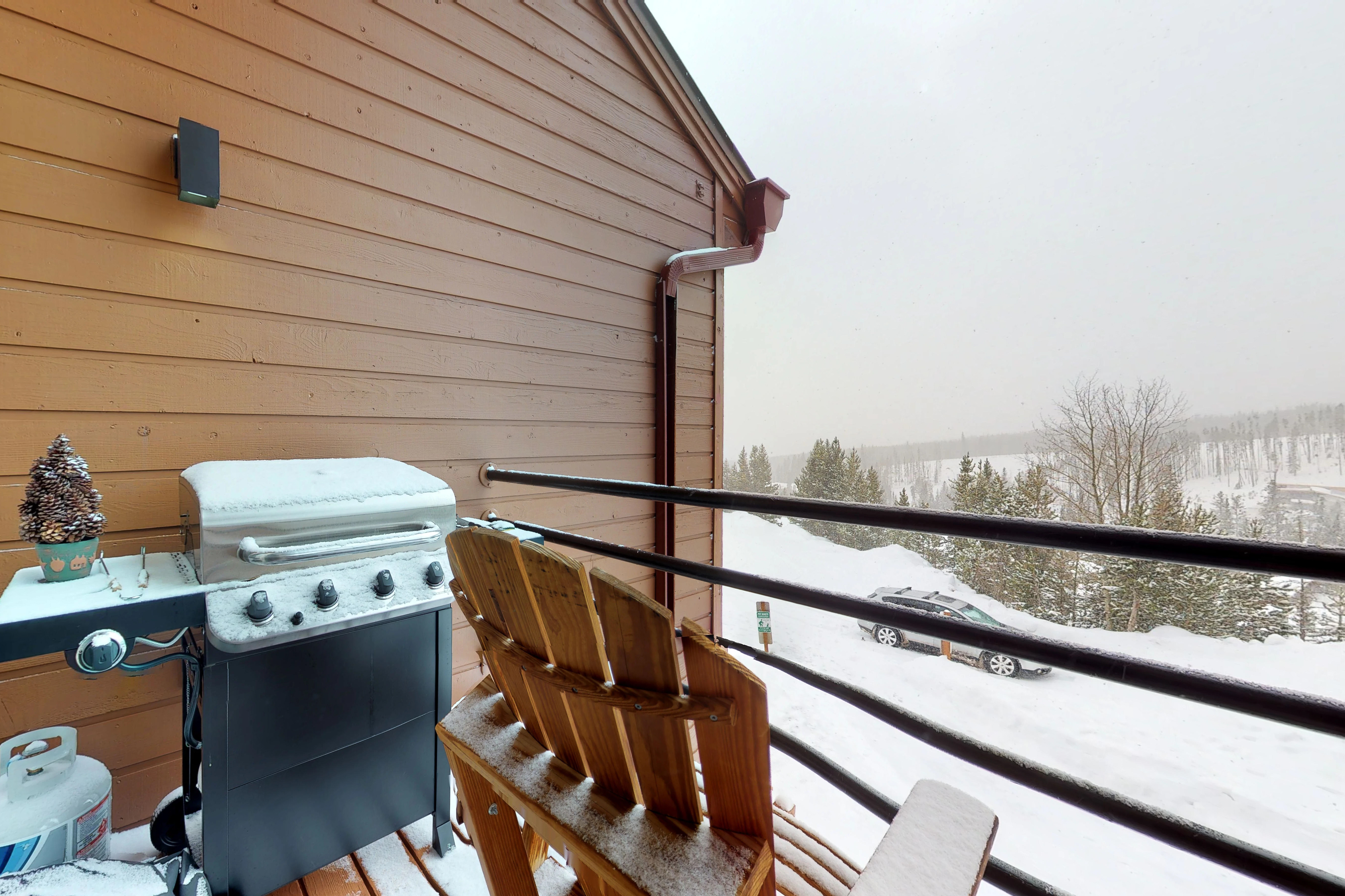 Breckenridge Condo 937582