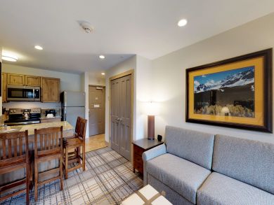 Breckenridge Condo 937585