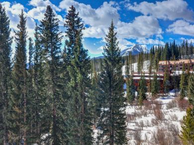 Breckenridge Condo 937590