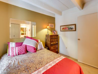 Breckenridge Condo 937591
