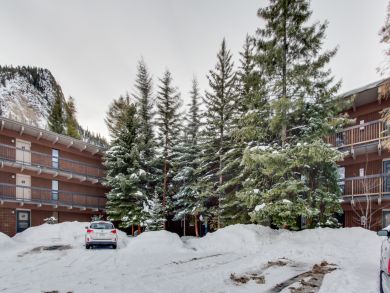 Breckenridge Condo 937591