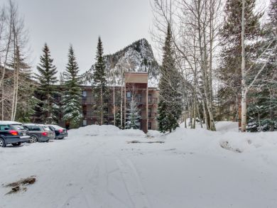 Breckenridge Condo 937591