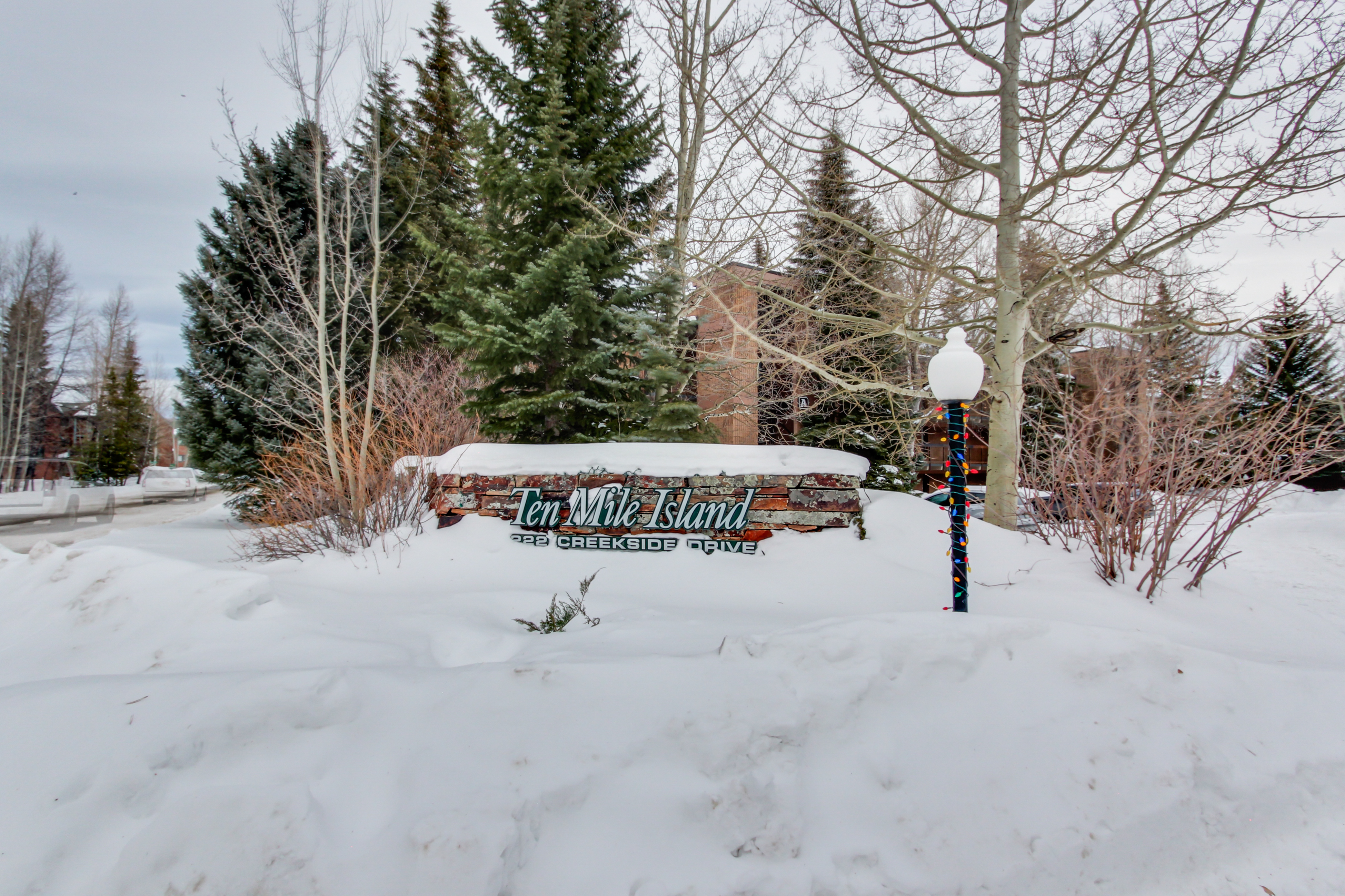 Breckenridge Condo 937591