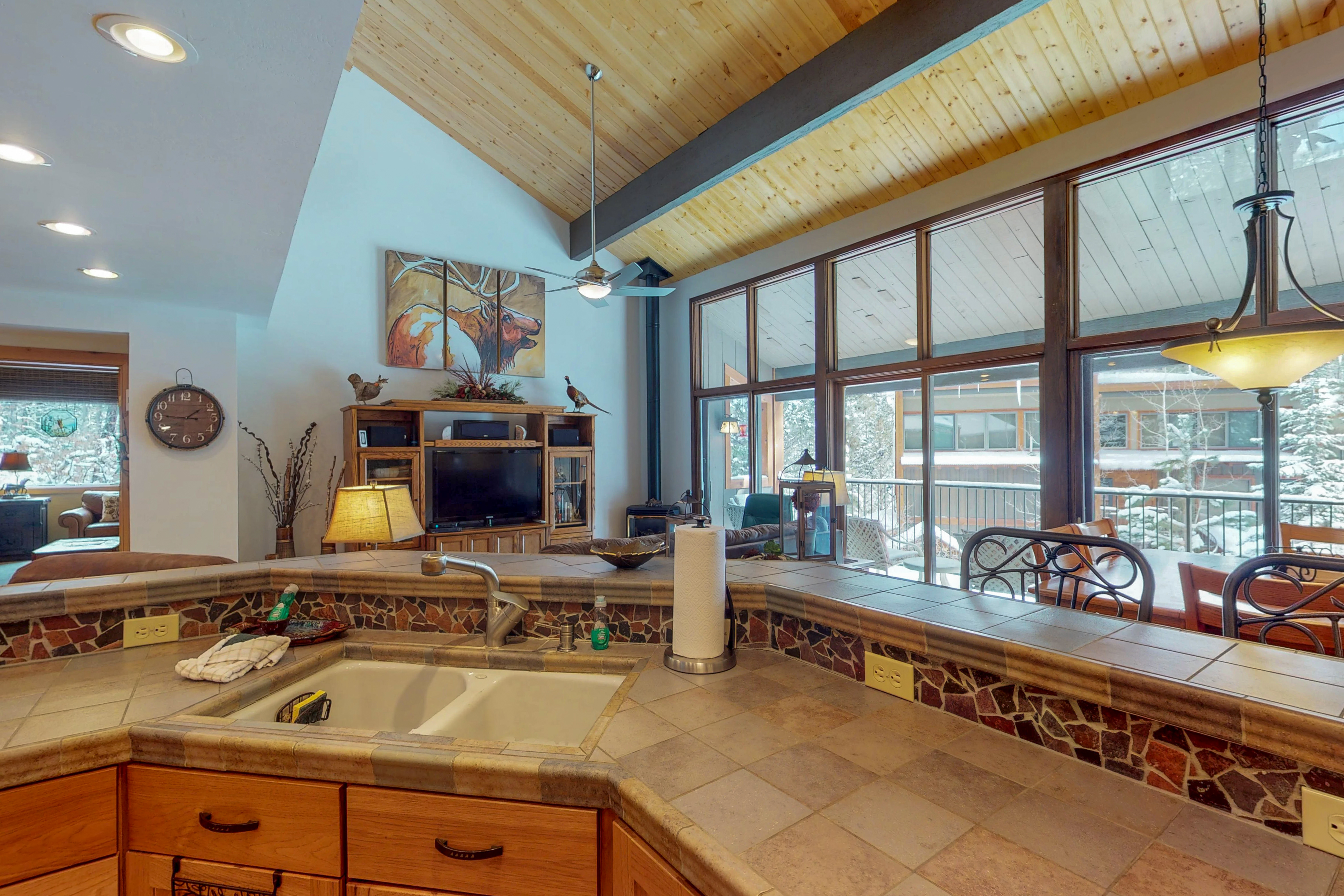 Breckenridge Condo 937595