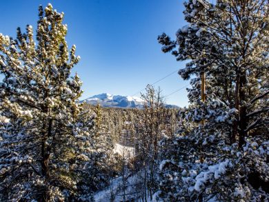 Aspen Home 937598