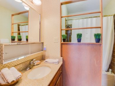 Breckenridge Condo 937601