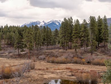 Breckenridge Condo 937601