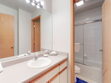 Breckenridge Condo 937606