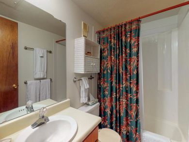 Breckenridge Condo 937617