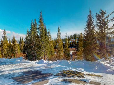 Breckenridge Condo 937617