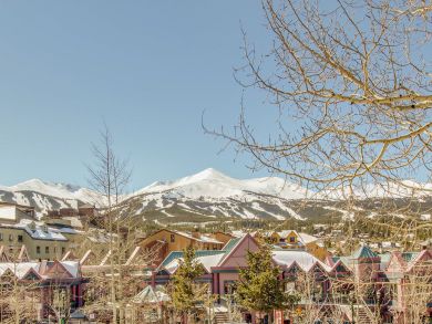Breckenridge Condo 937622