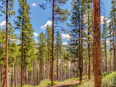 Breckenridge Home 937631