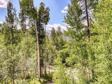 Breckenridge Home 937635