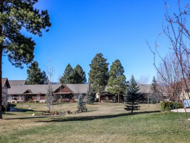 Beaver Creek Bachelor Gulch Home 937640