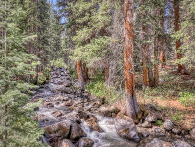 Breckenridge Home 937642