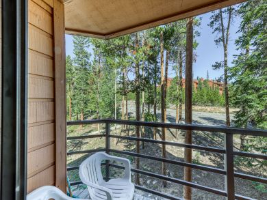Breckenridge Condo 937649