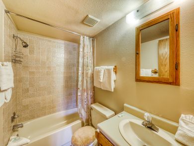 Breckenridge Condo 937649