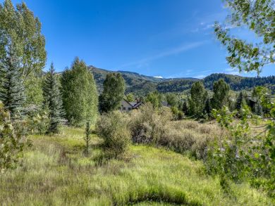 Steamboat Springs Home 937666 Steamboat Springs Home 937666