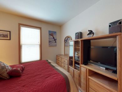 Breckenridge Condo 937674