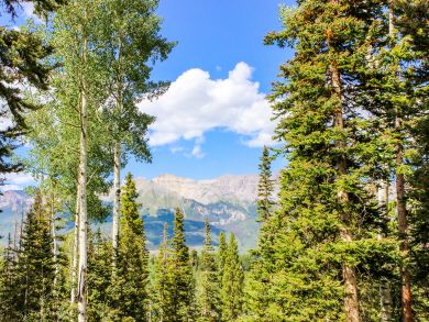 Telluride Home 937677