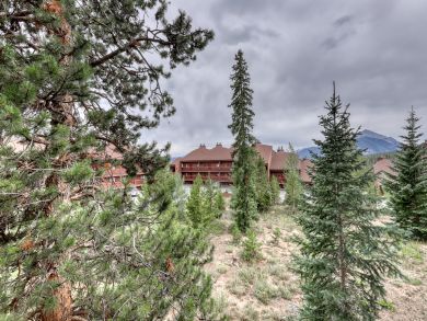 Breckenridge Condo 937678