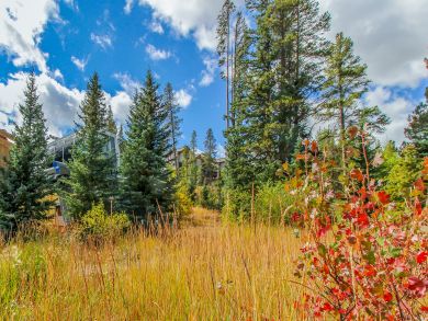 Breckenridge Condo 937681