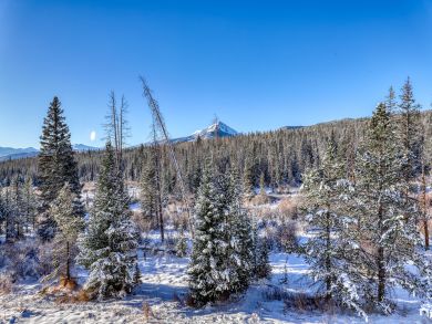 Breckenridge Condo 937700