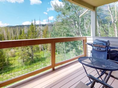 Breckenridge Condo 937700